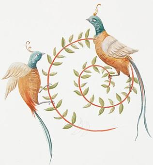 16 motif oiseau paon
